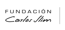fundacion carlos slim