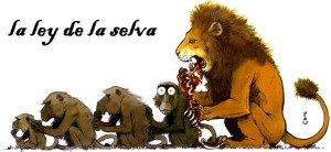 Ley de la selva