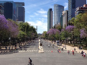 jacarandas_reforma