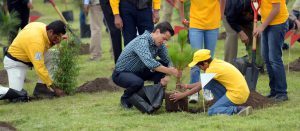 peña-reforestacion3