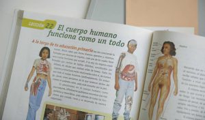 Libros de texto educacion sexual